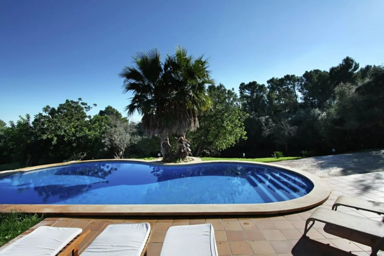 Petit-Pool