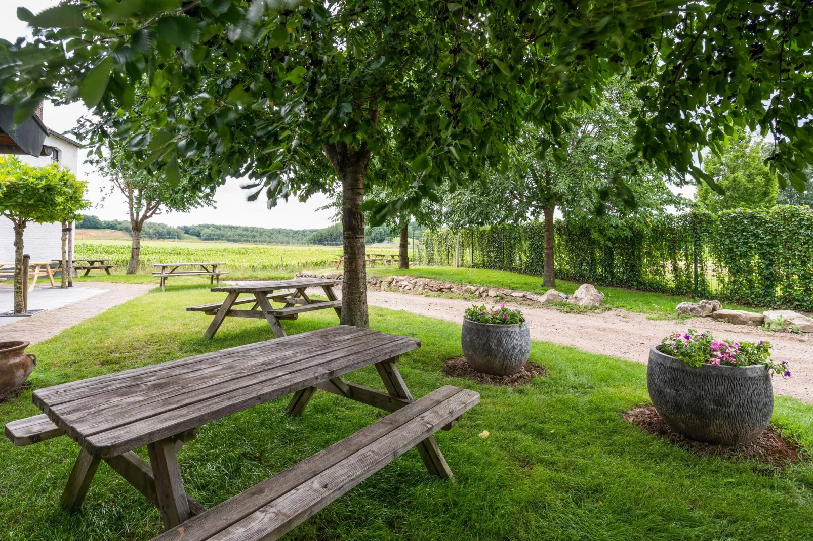 Hoeve de Drogenberg de Schuur-Gardens summer