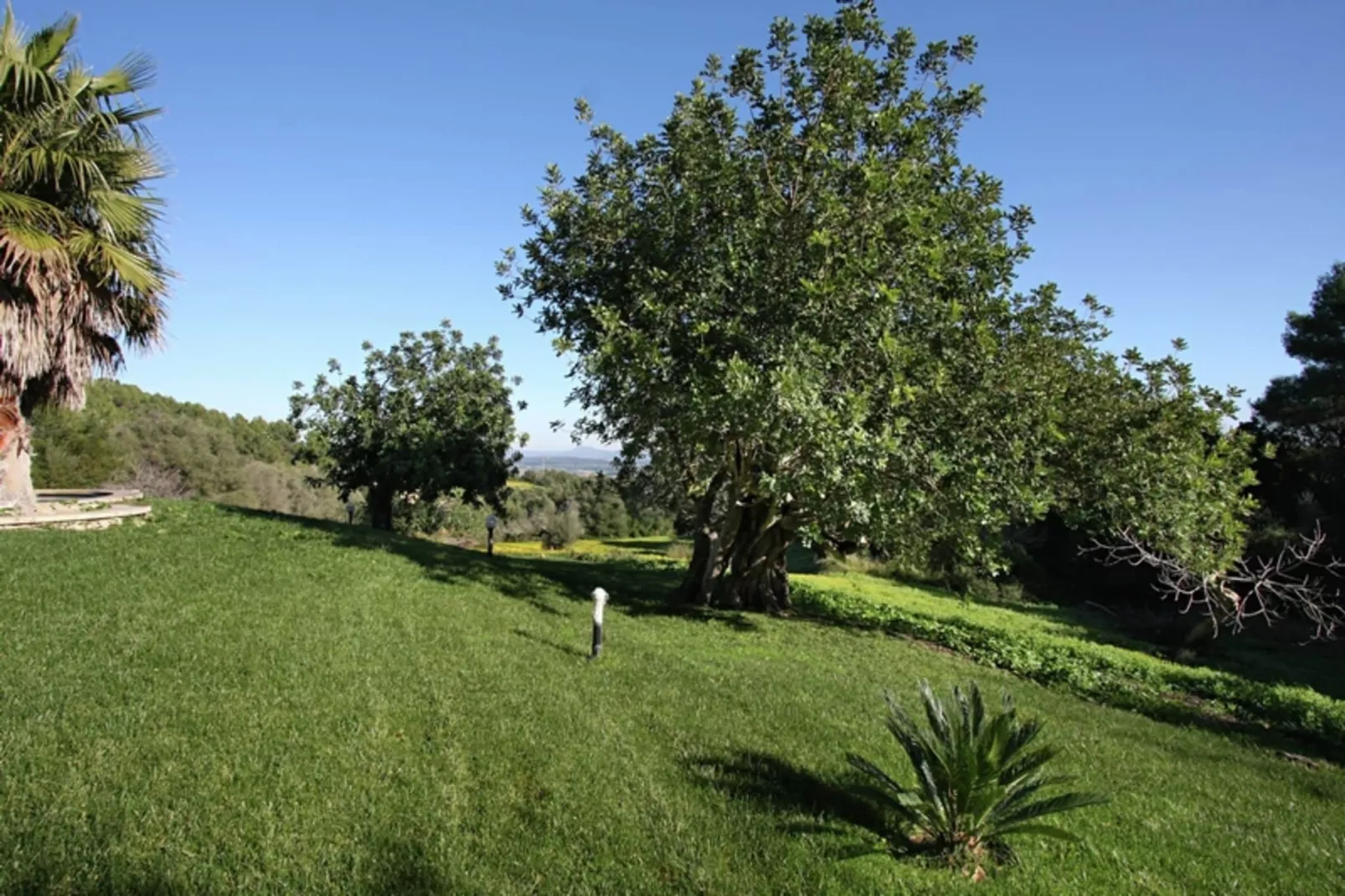 Petit-Gardens summer