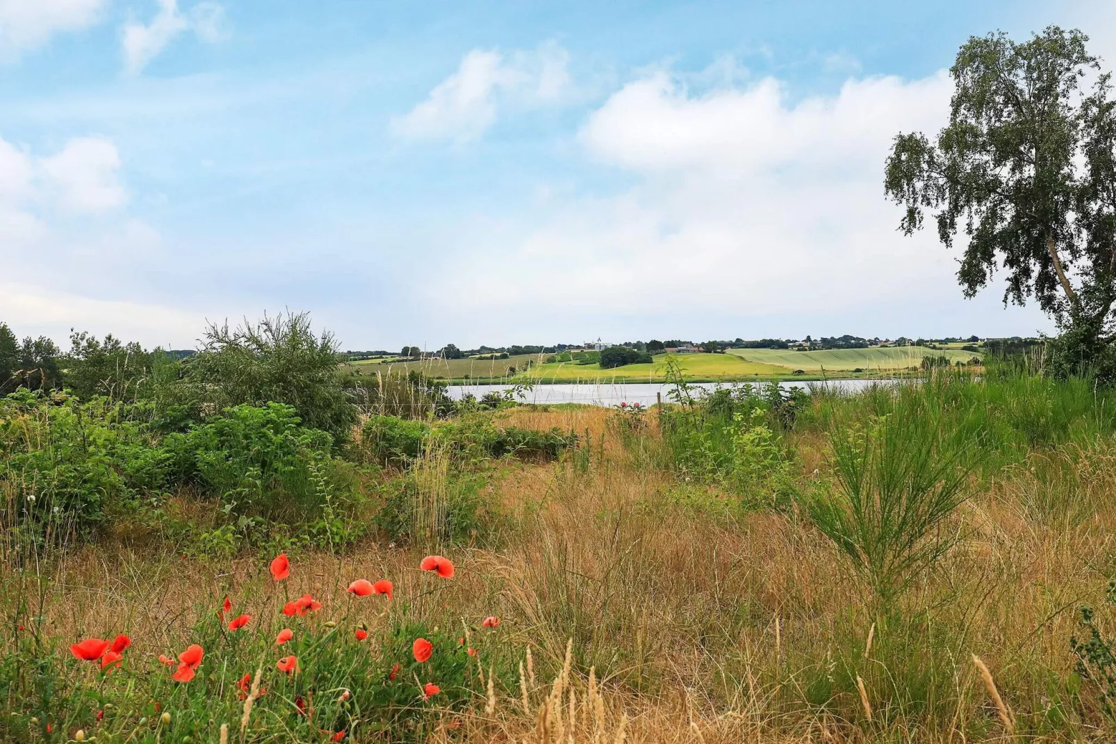 12 person holiday home in Millinge-View