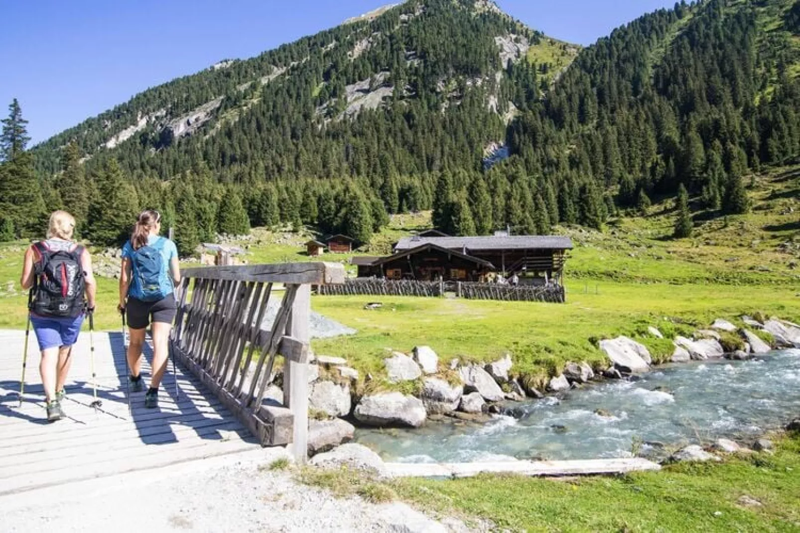 Ferienhaus Bachmaier-Areas summer 5km