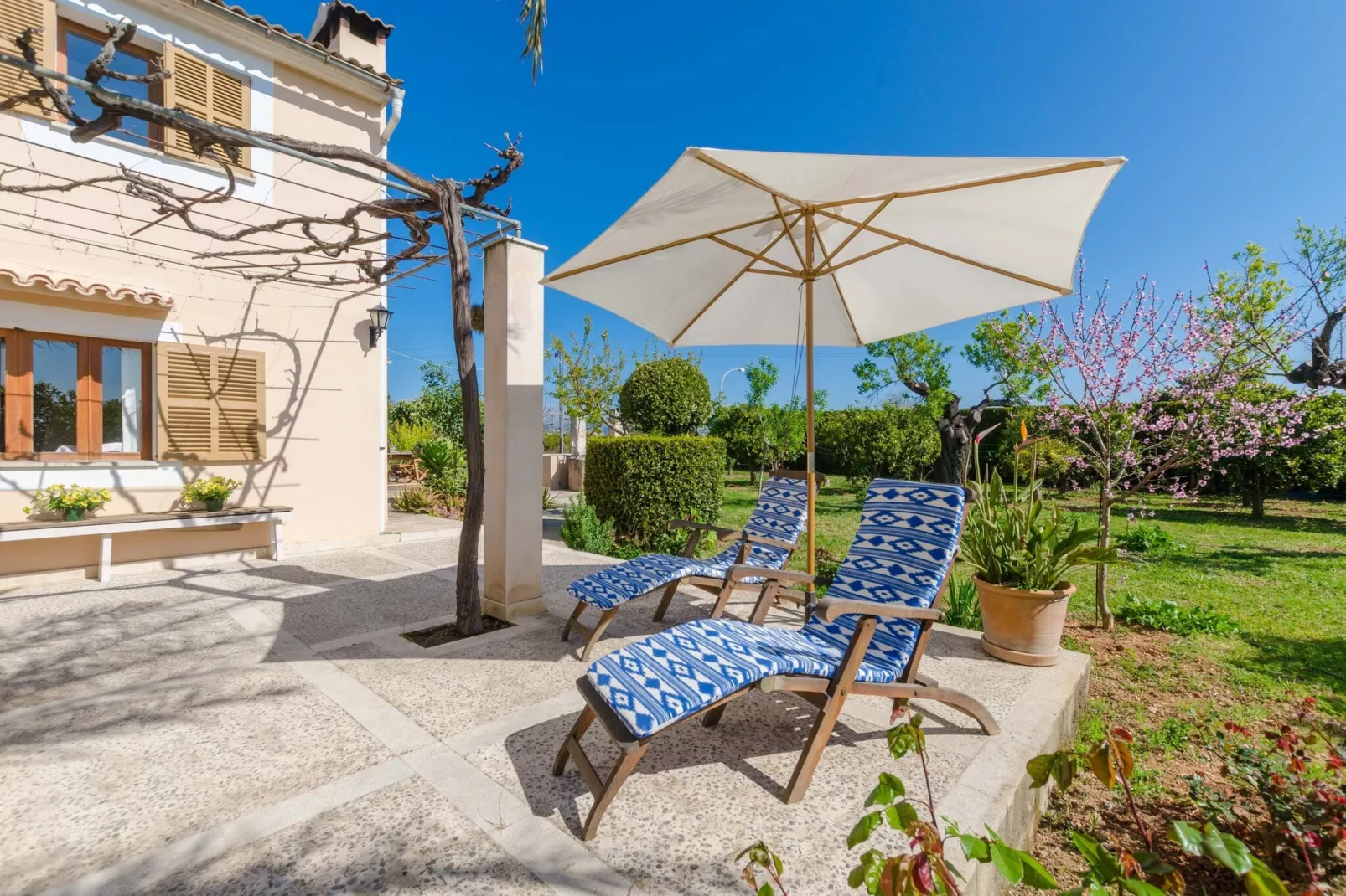 Can Pilos-Exterior summer