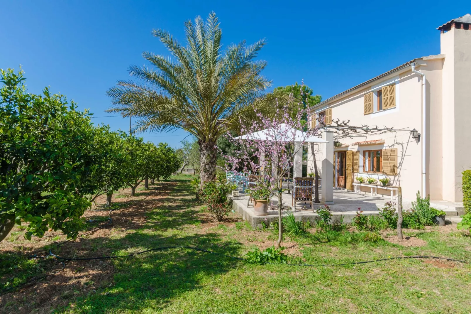 Can Pilos-Exterior summer