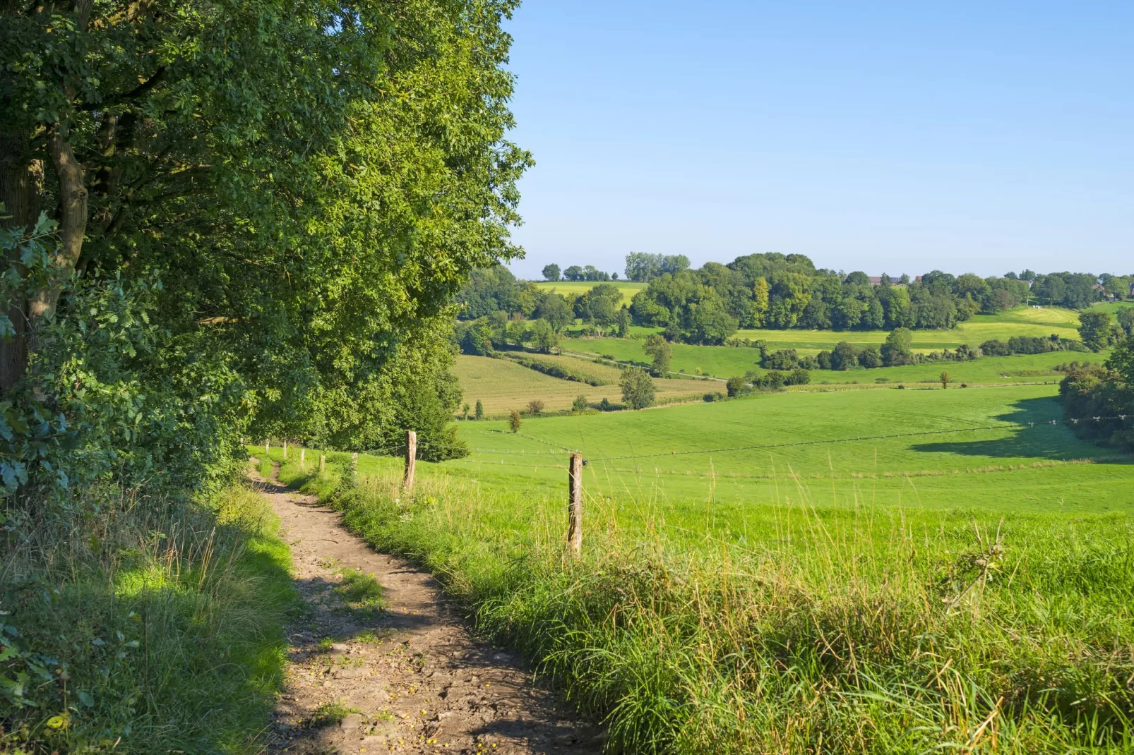 Resort Mooi Bemelen 2-Areas summer 5km