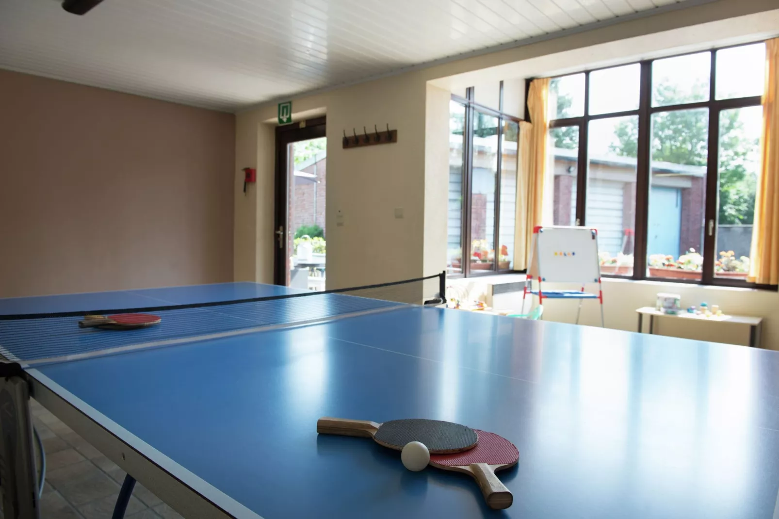 Terra-Recreation room