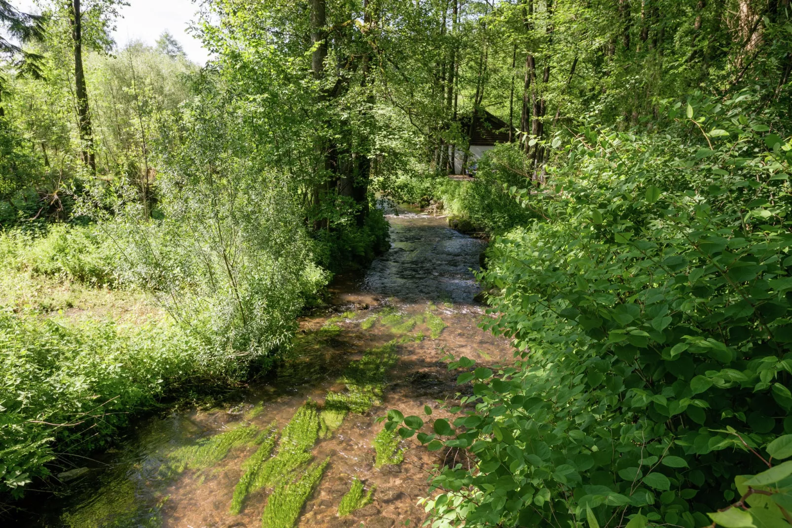 Ma Cabane-Areas summer 1km