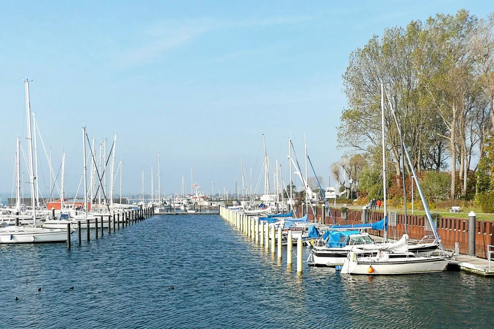 MEERBLICK 1-Untagged