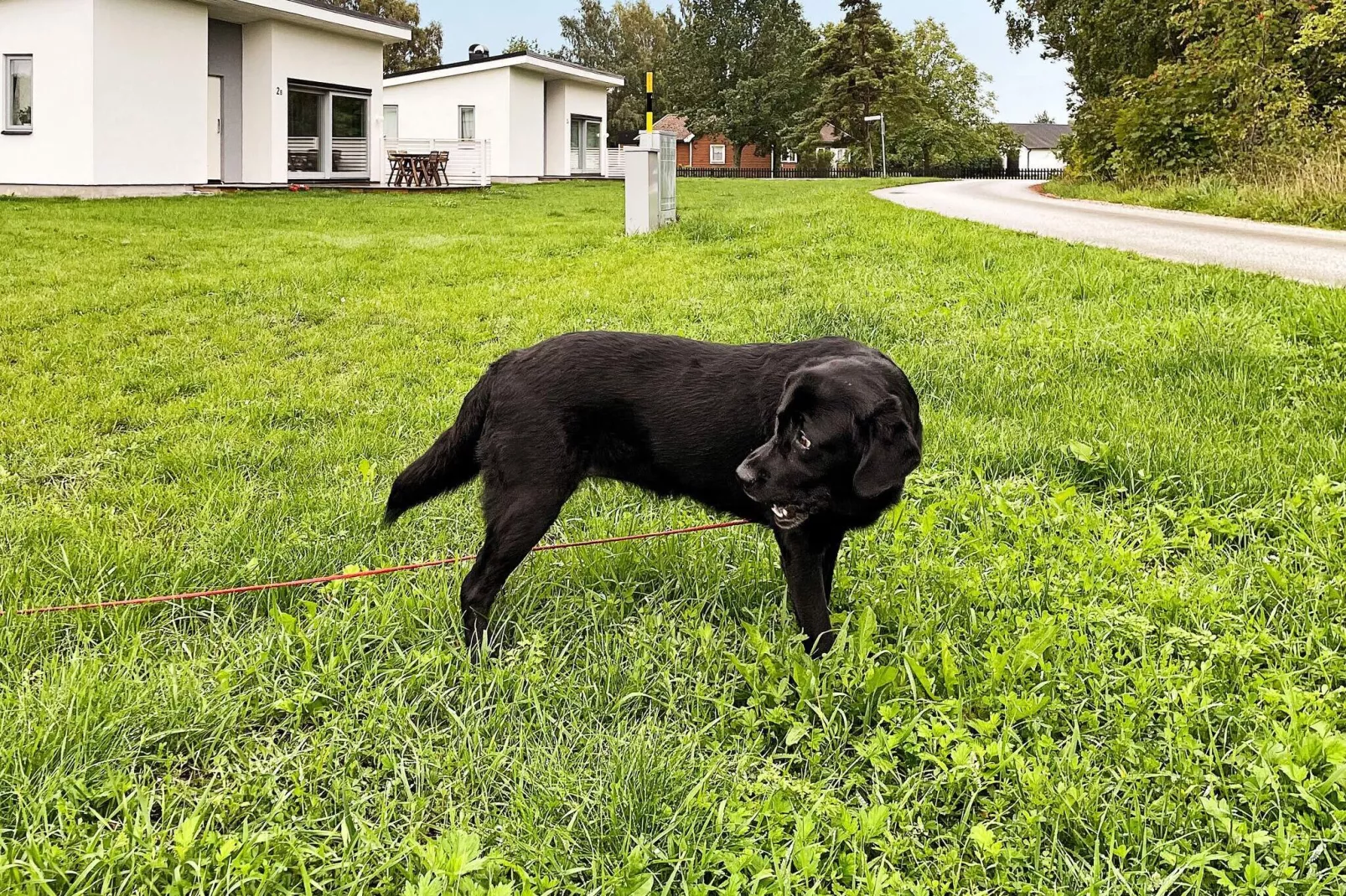 6 Personen Ferienhaus in GOTLANDS TOFTA-By Traum