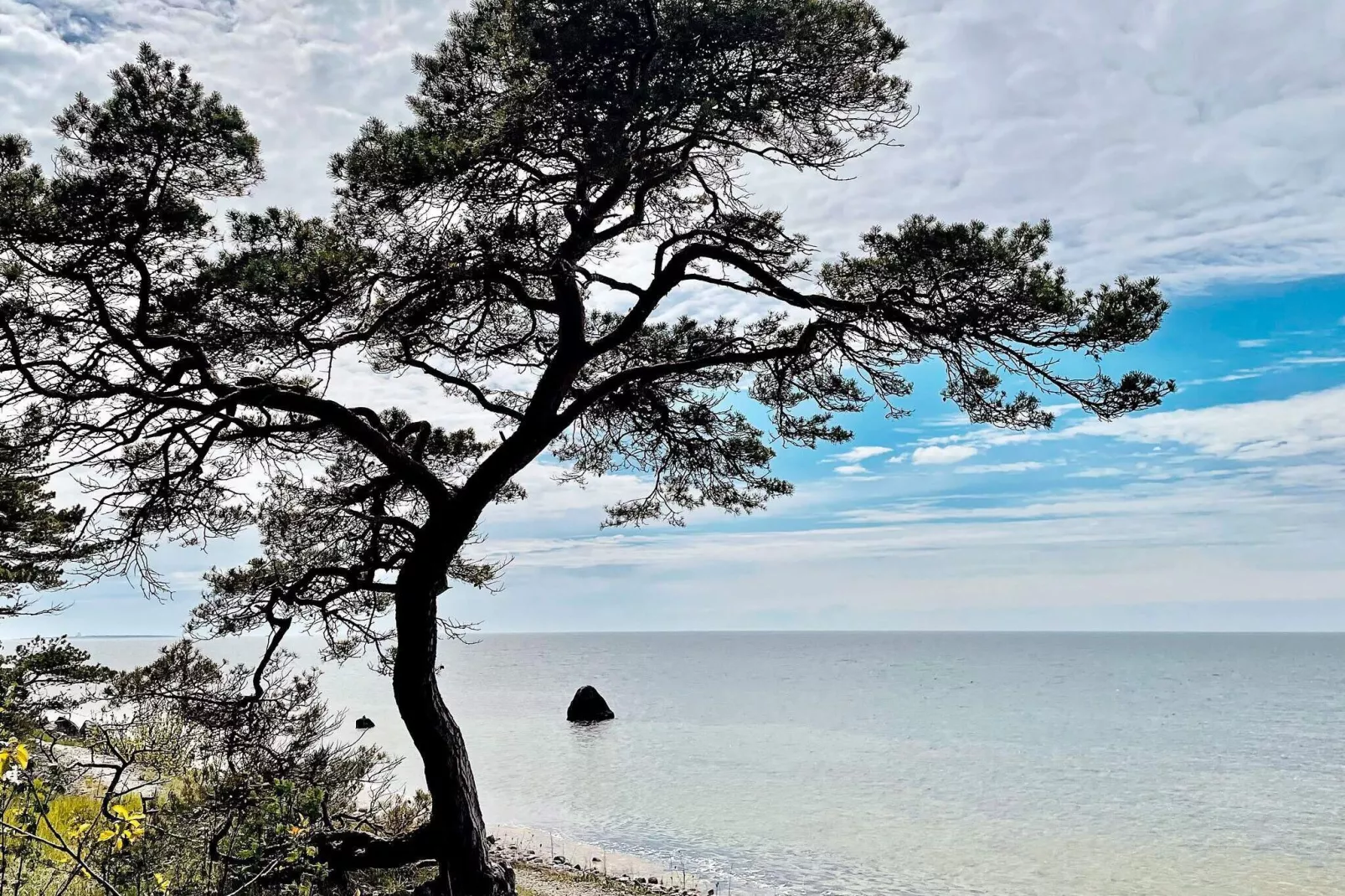 6 Personen Ferienhaus in GOTLANDS TOFTA-By Traum-Nicht zugeordnet