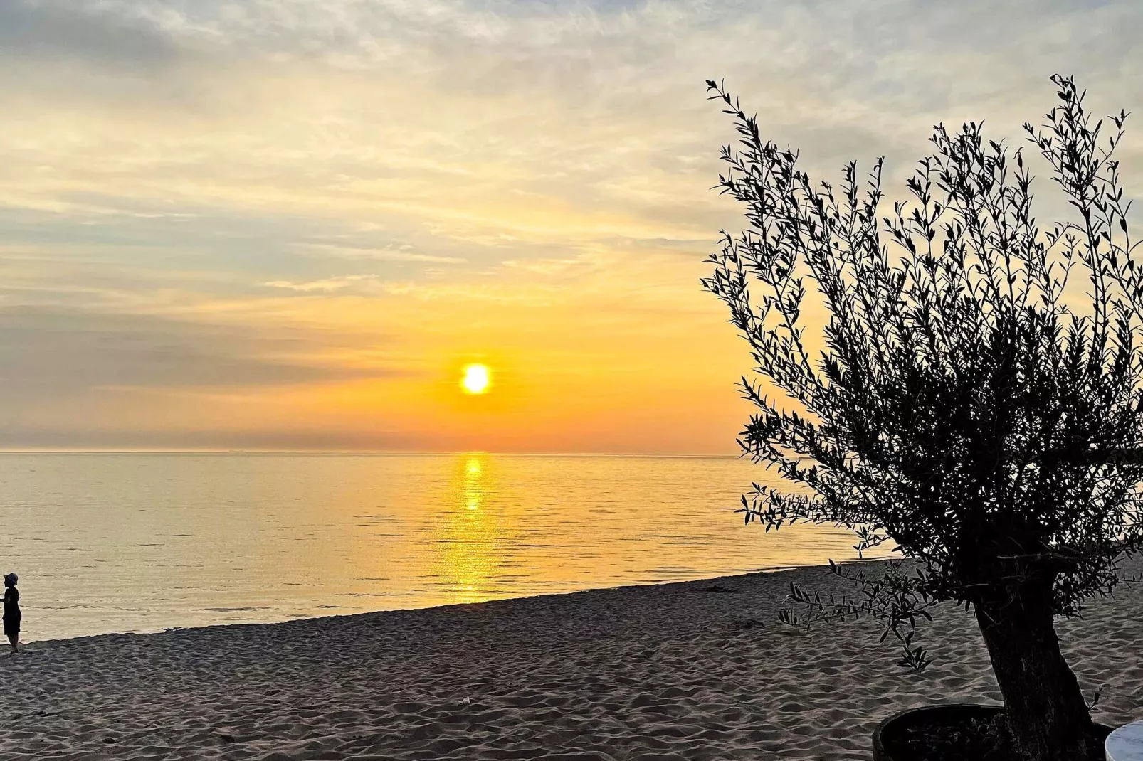 6 Personen Ferienhaus in GOTLANDS TOFTA-By Traum-Nicht zugeordnet