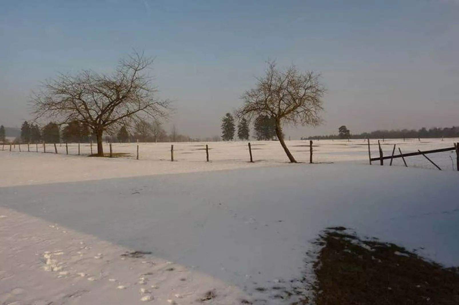 Les Pâturages 1-Area winter 1km