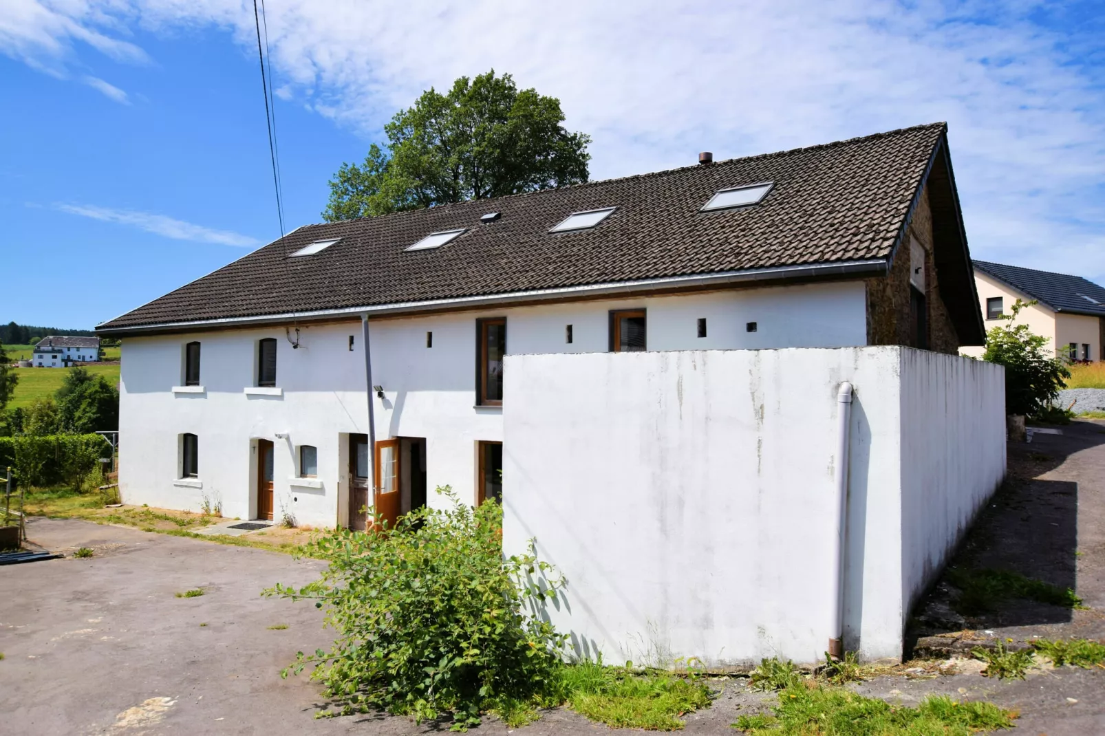 Alten Buche-Exterior summer