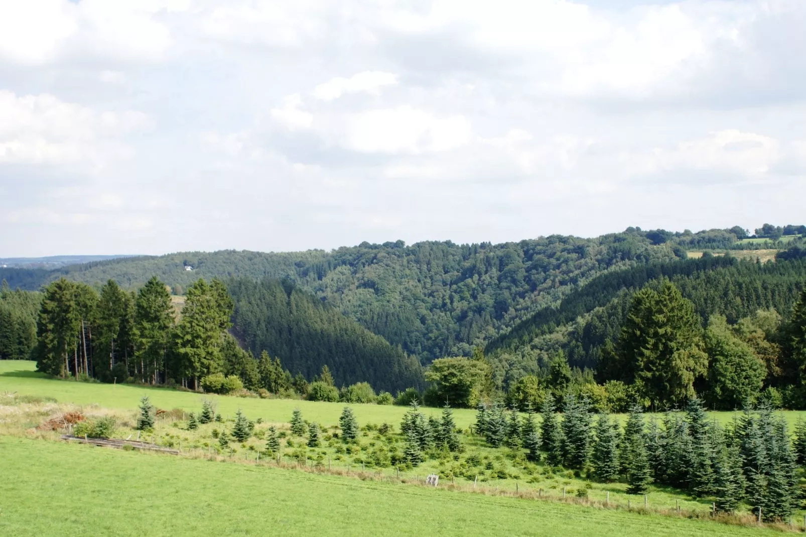 Zevenster-Areas summer 1km