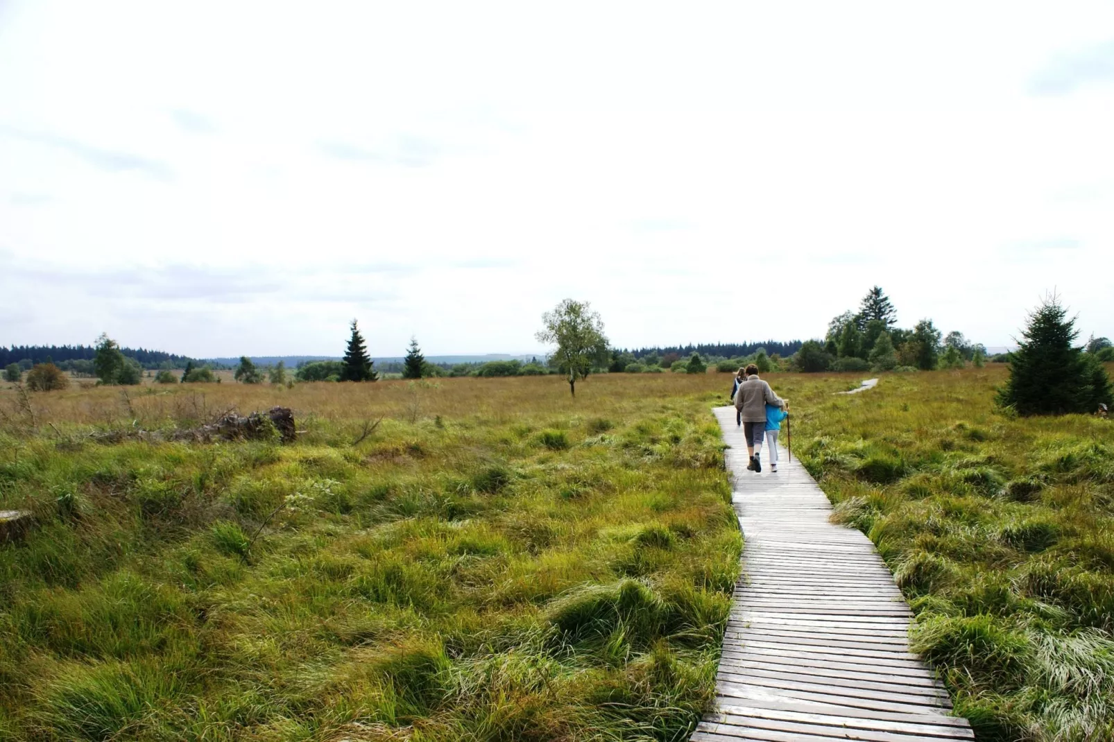 Zevenster-Areas summer 20km