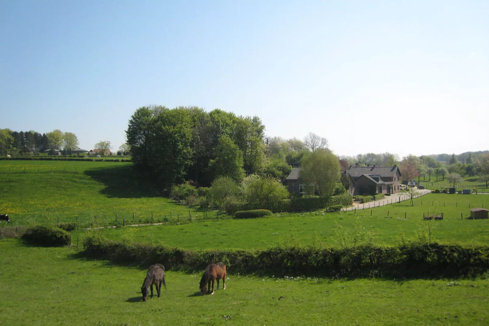 Honthem-Areas summer 1km