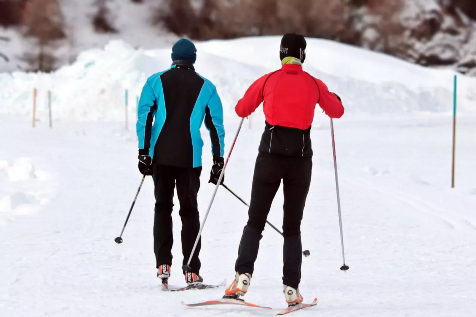 Evasion-Area winter 5km