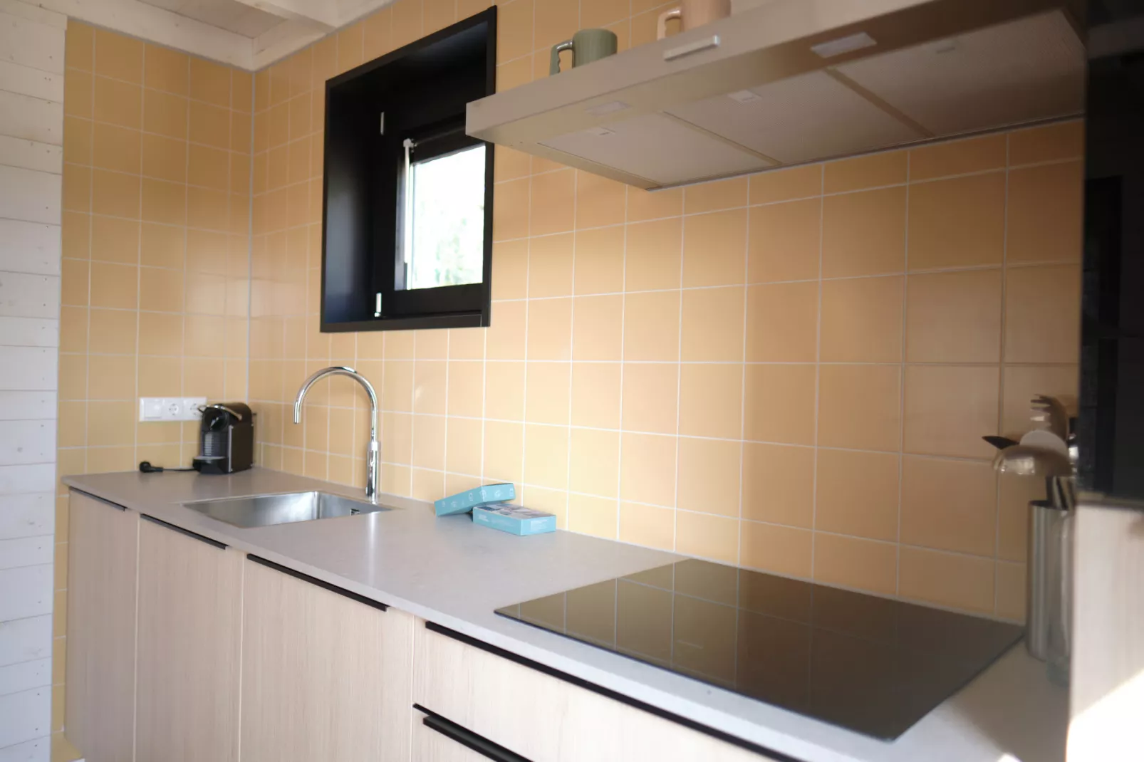 Resort Gulpen 3-Kitchen