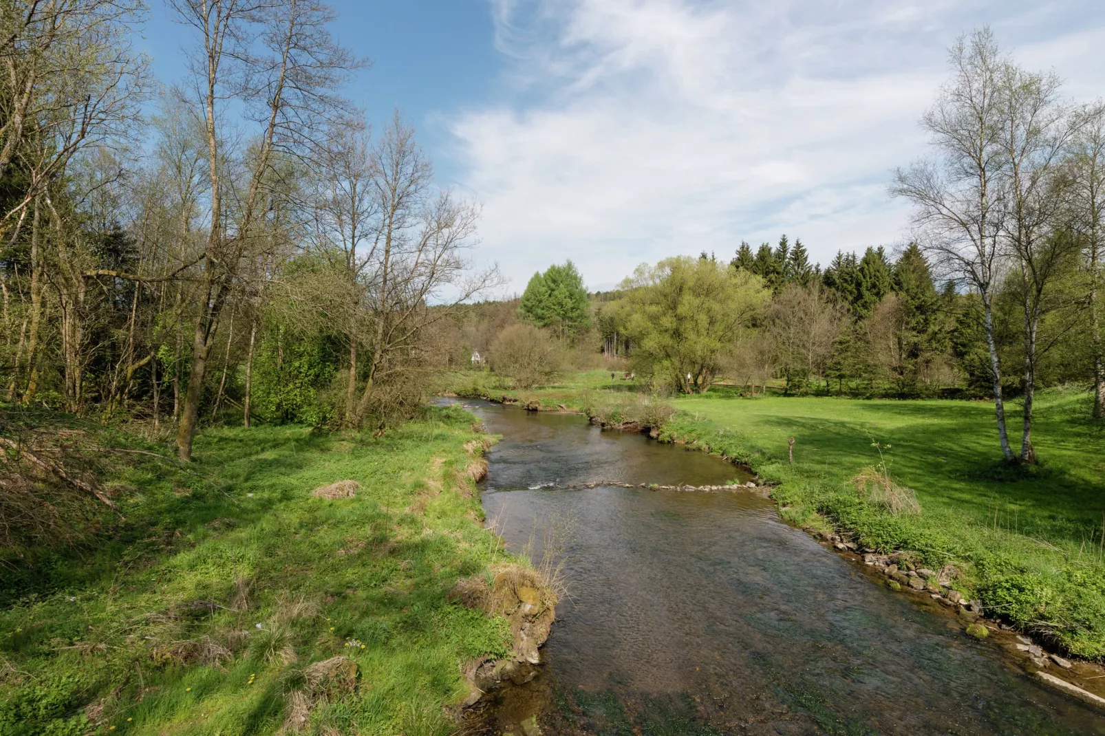 Alten Buche-Areas summer 5km