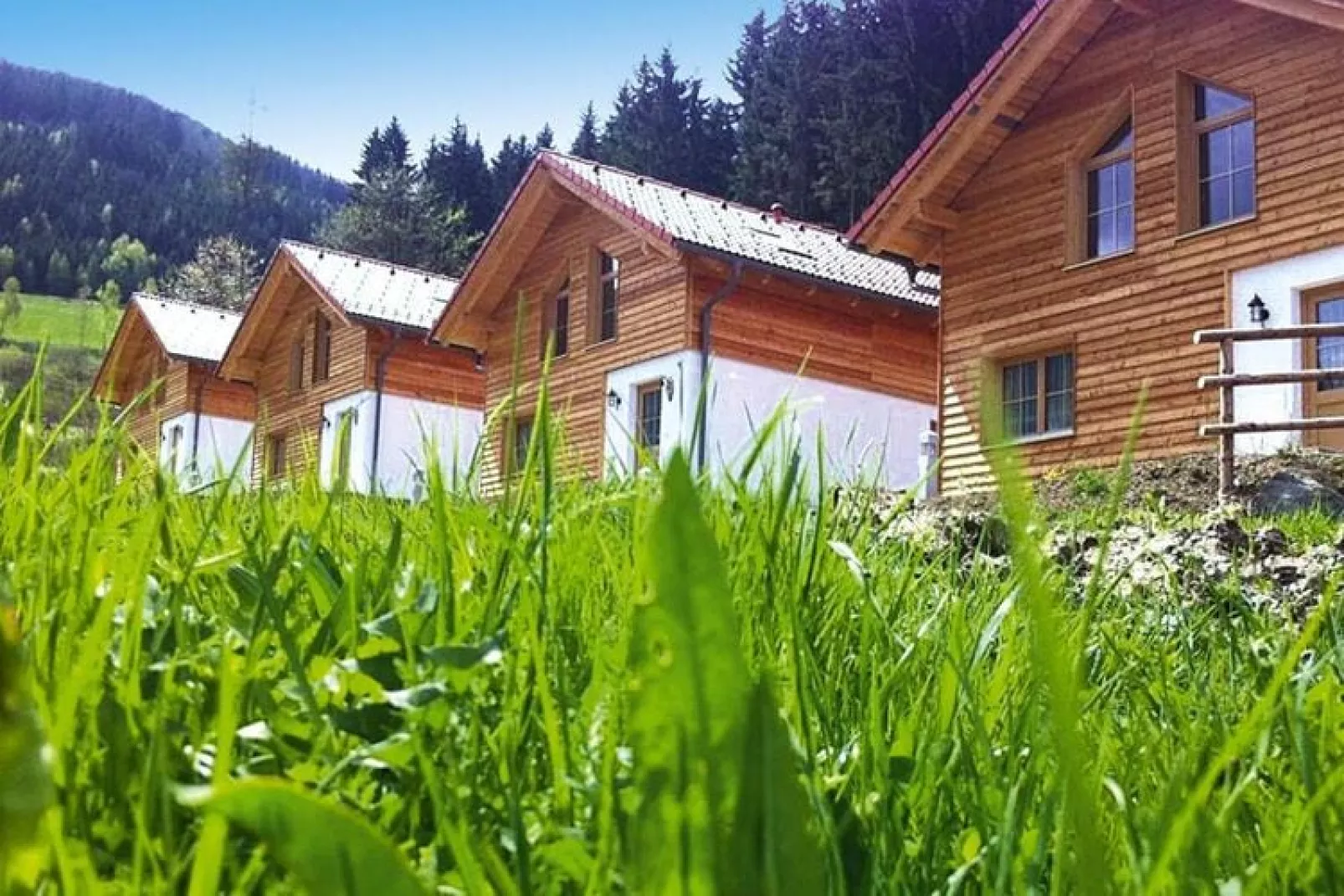 Ferienpark Gaal - Steiermark-Exterior summer