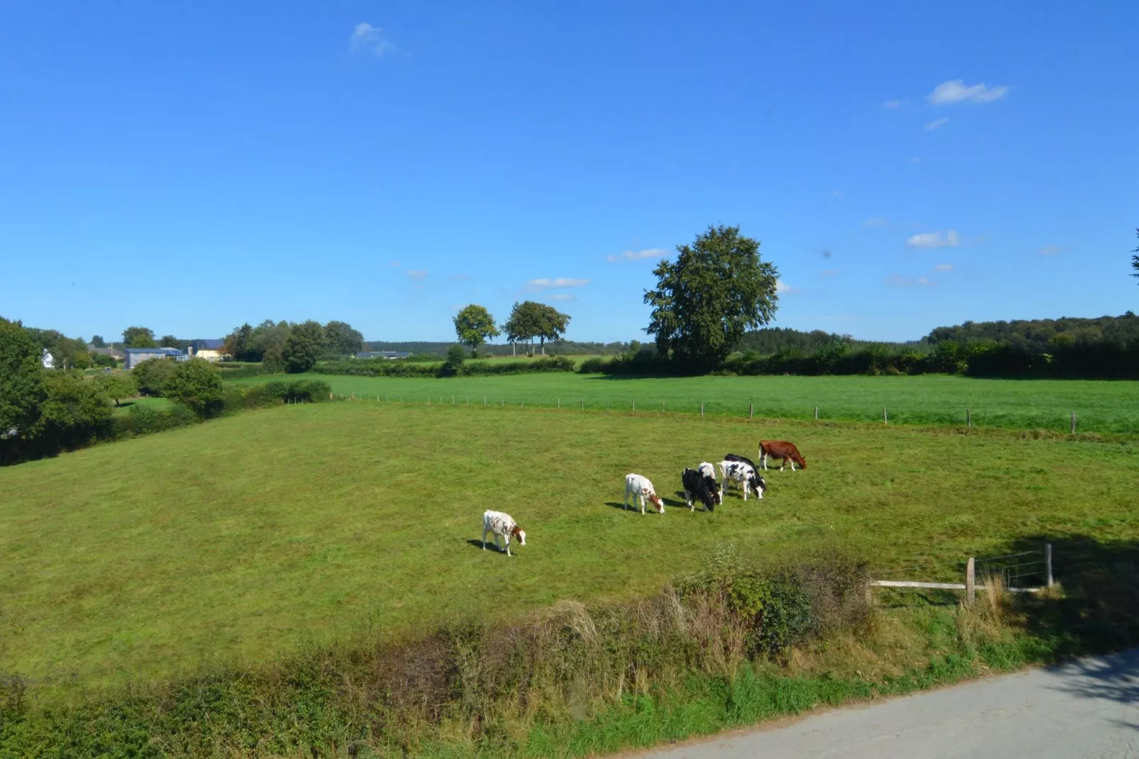 La Ferme d'Amel-Gebiete Sommer 5 km