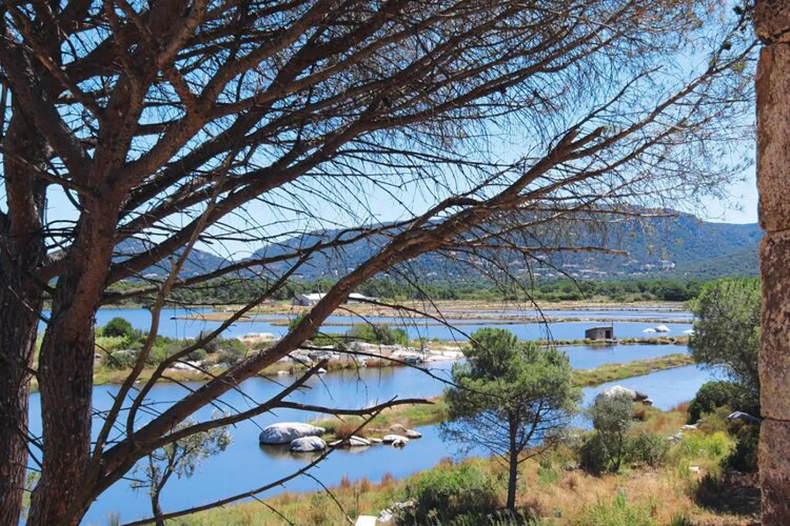 Residence Salina Bay Porto-Vecchio // F2 - 2-4 pers côté piscine-Wasserblick