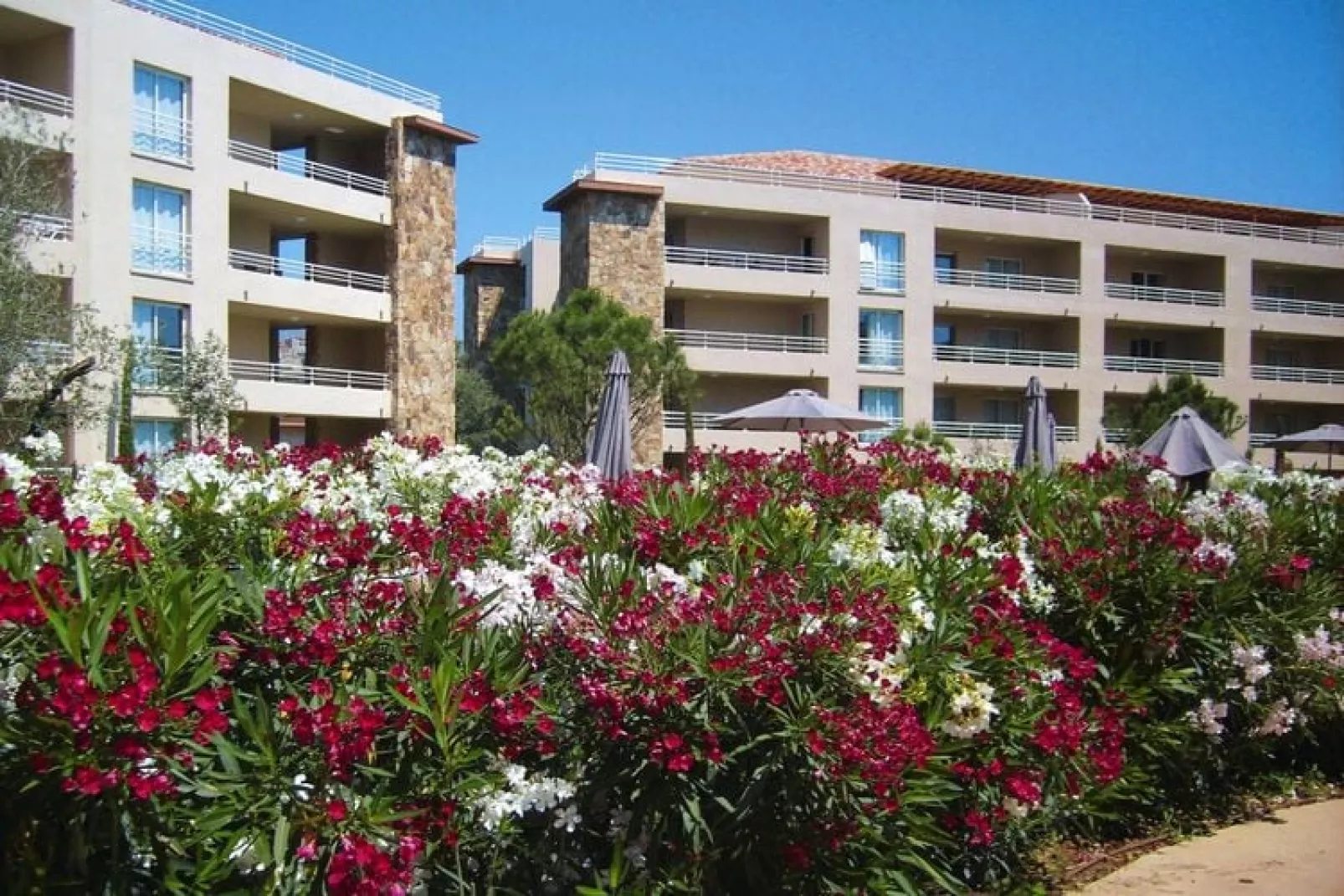 Residence Salina Bay Porto-Vecchio // F2 - 2-4 pers côté piscine-Außenbereich Sommer