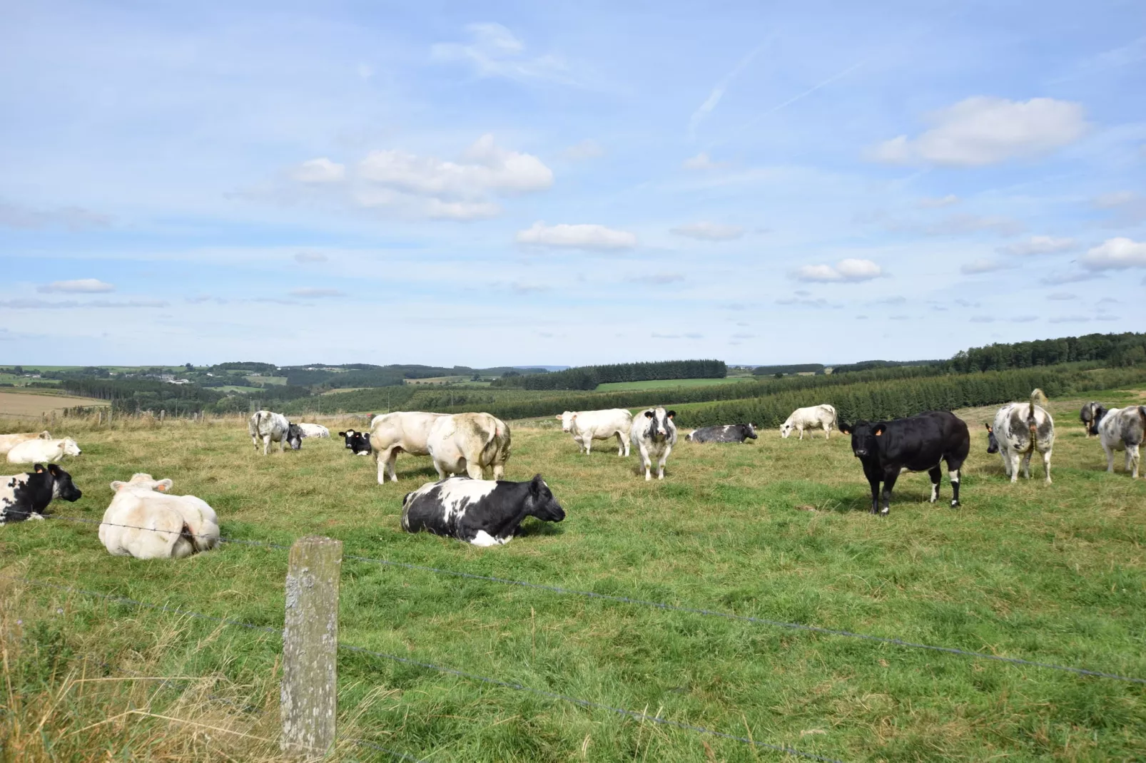Presbytère-Areas summer 1km