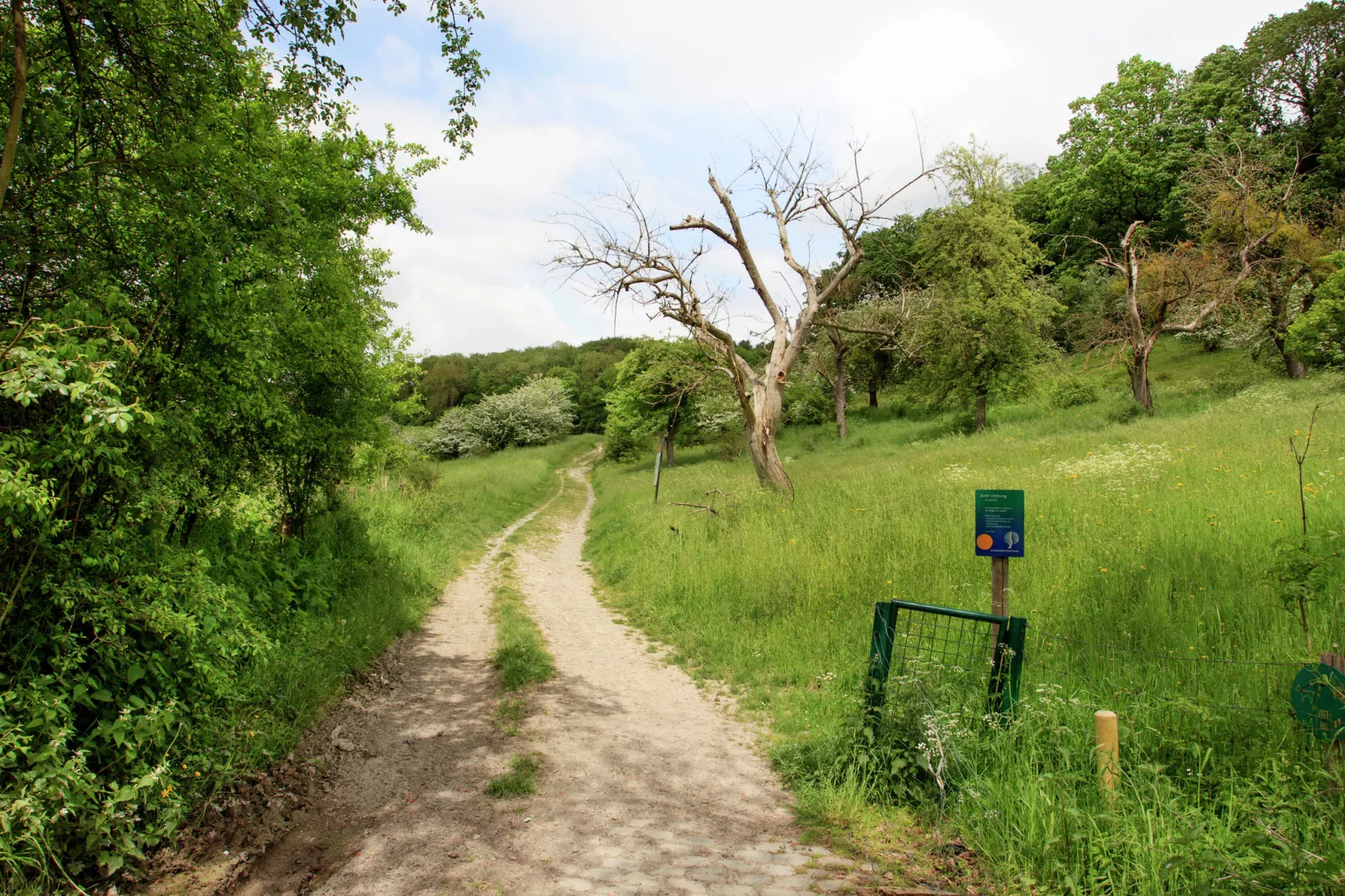 Hoeve A Gen Water - Botterblumke-Areas summer 1km