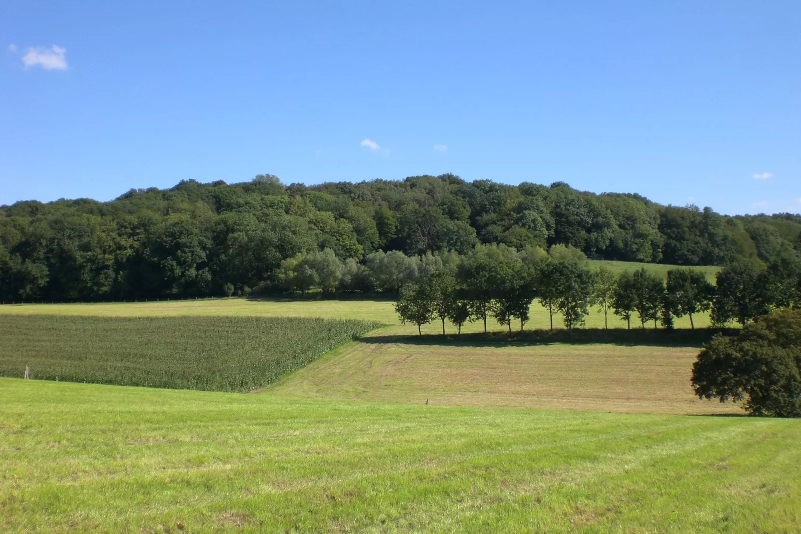 Hoeve A Gen Water - Botterblumke-Areas summer 1km