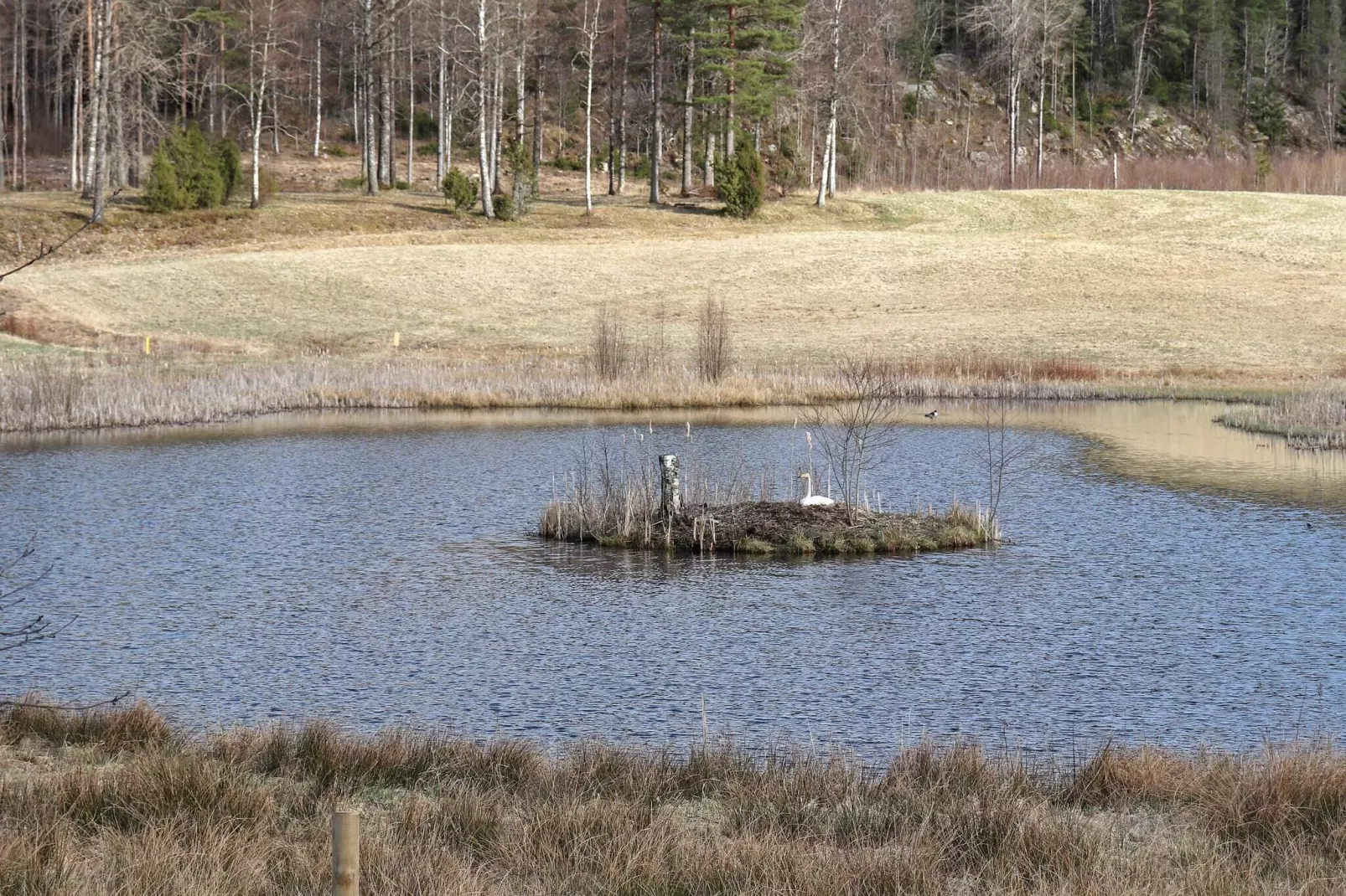 11 person holiday home in HÖGSÄTER-By Traum-View