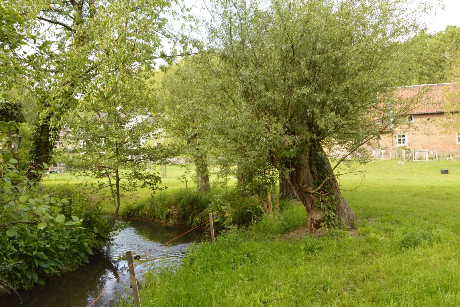 Hoeve A Gen Water - Hummesknupke-Areas summer 1km