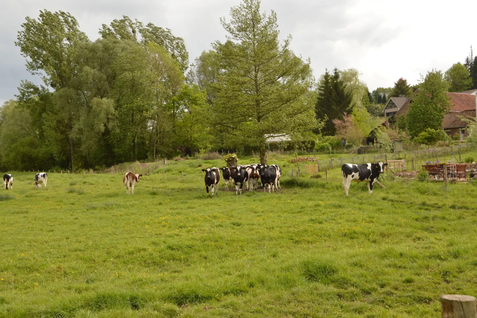 Hoeve A Gen Water - Hummesknupke-Areas summer 1km