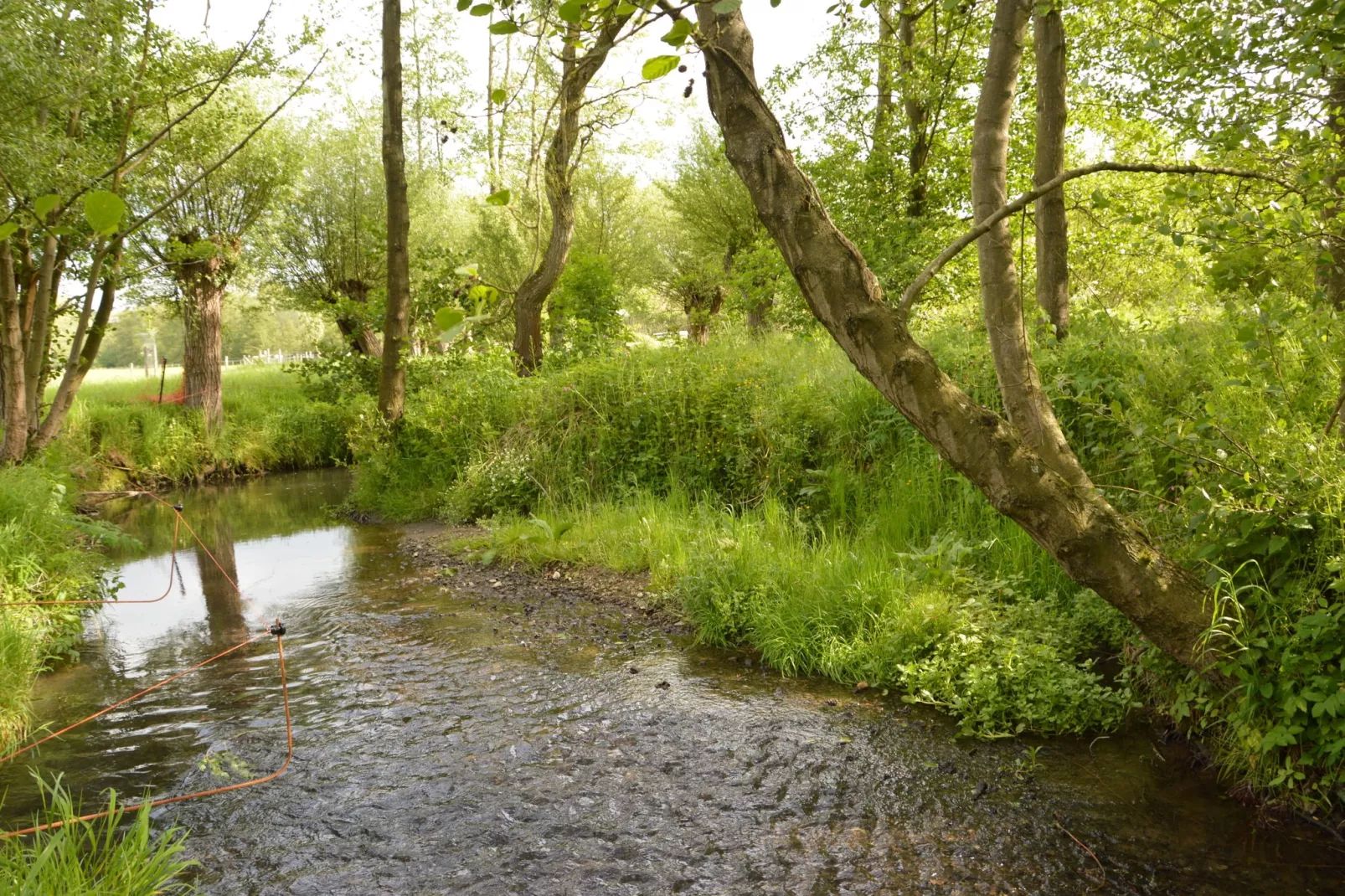 Hoeve A Gen Water - Hummesknupke-Areas summer 20km