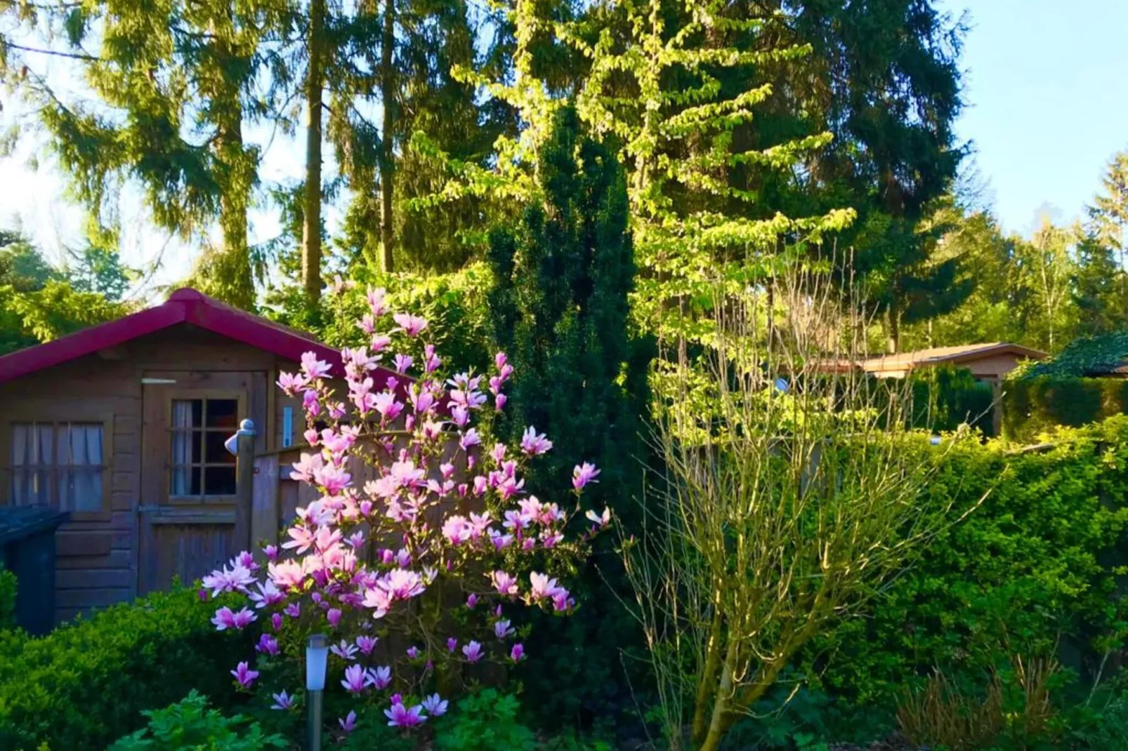 Chalet 'Bosanemoon'-Exterior summer