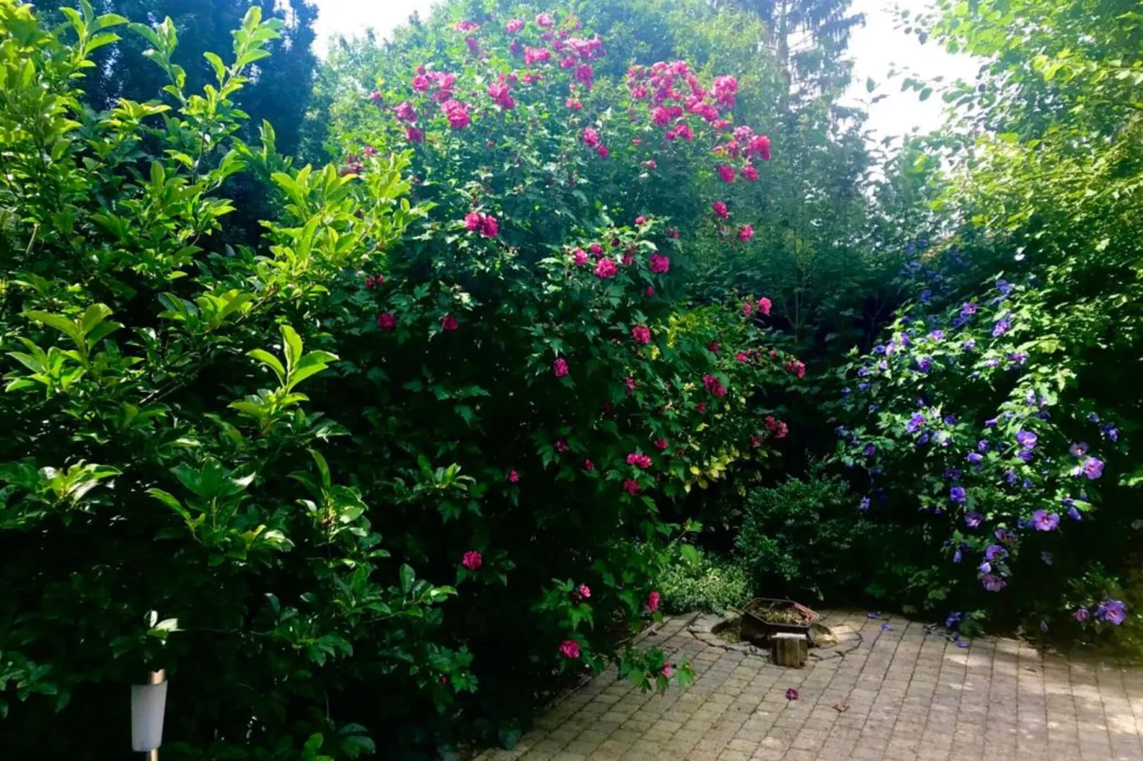 Chalet 'Bosanemoon'-Gardens summer