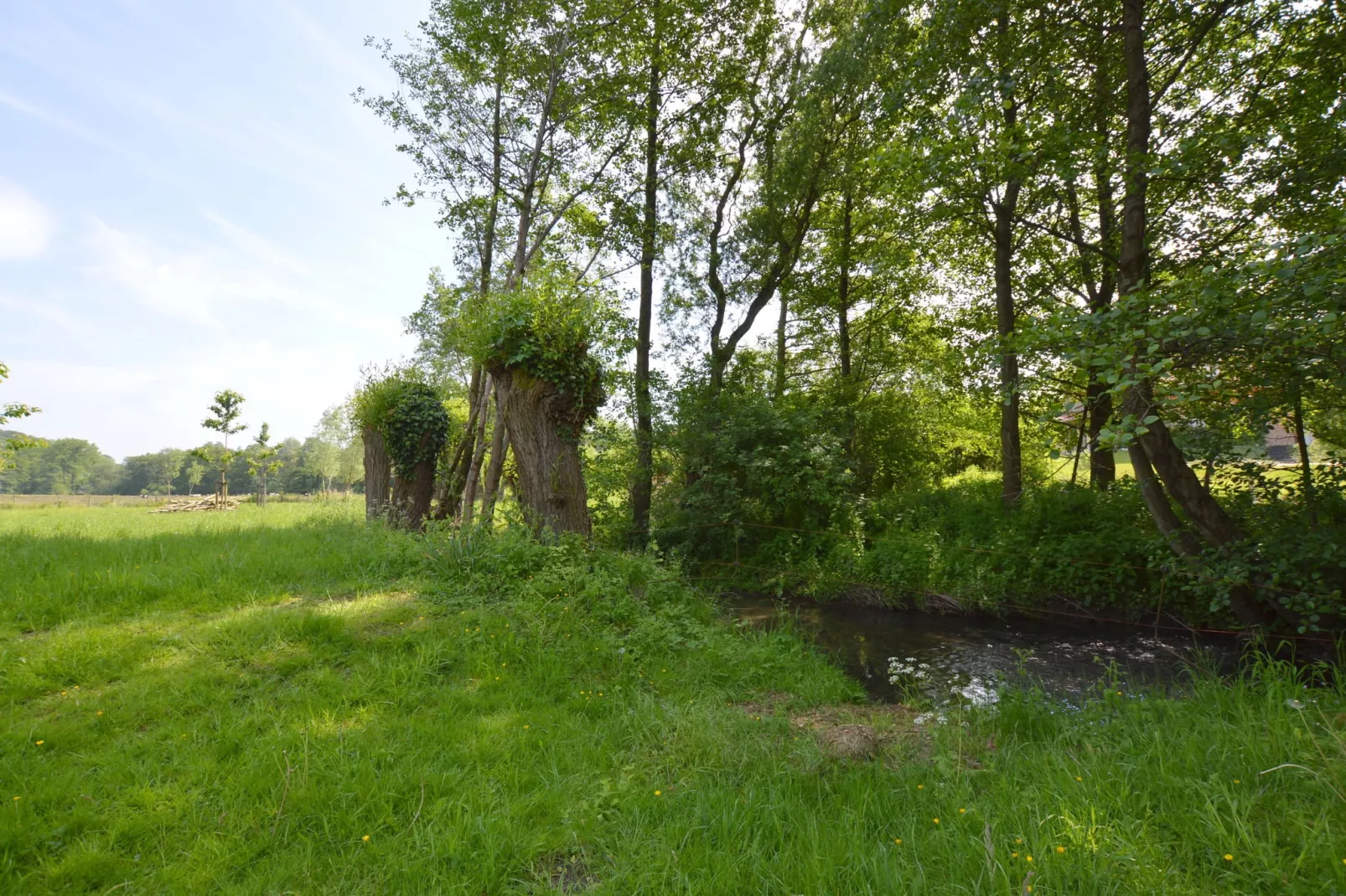 Hoeve A Gen Water- Donderblumke-Areas summer 1km