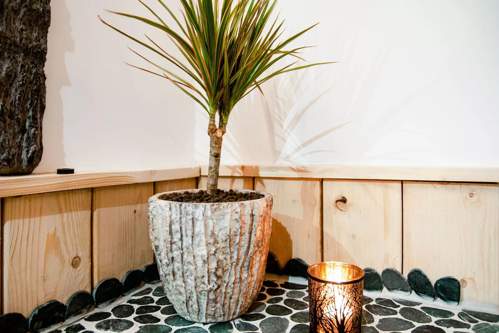 Chalet des Sapins-Ambiente
