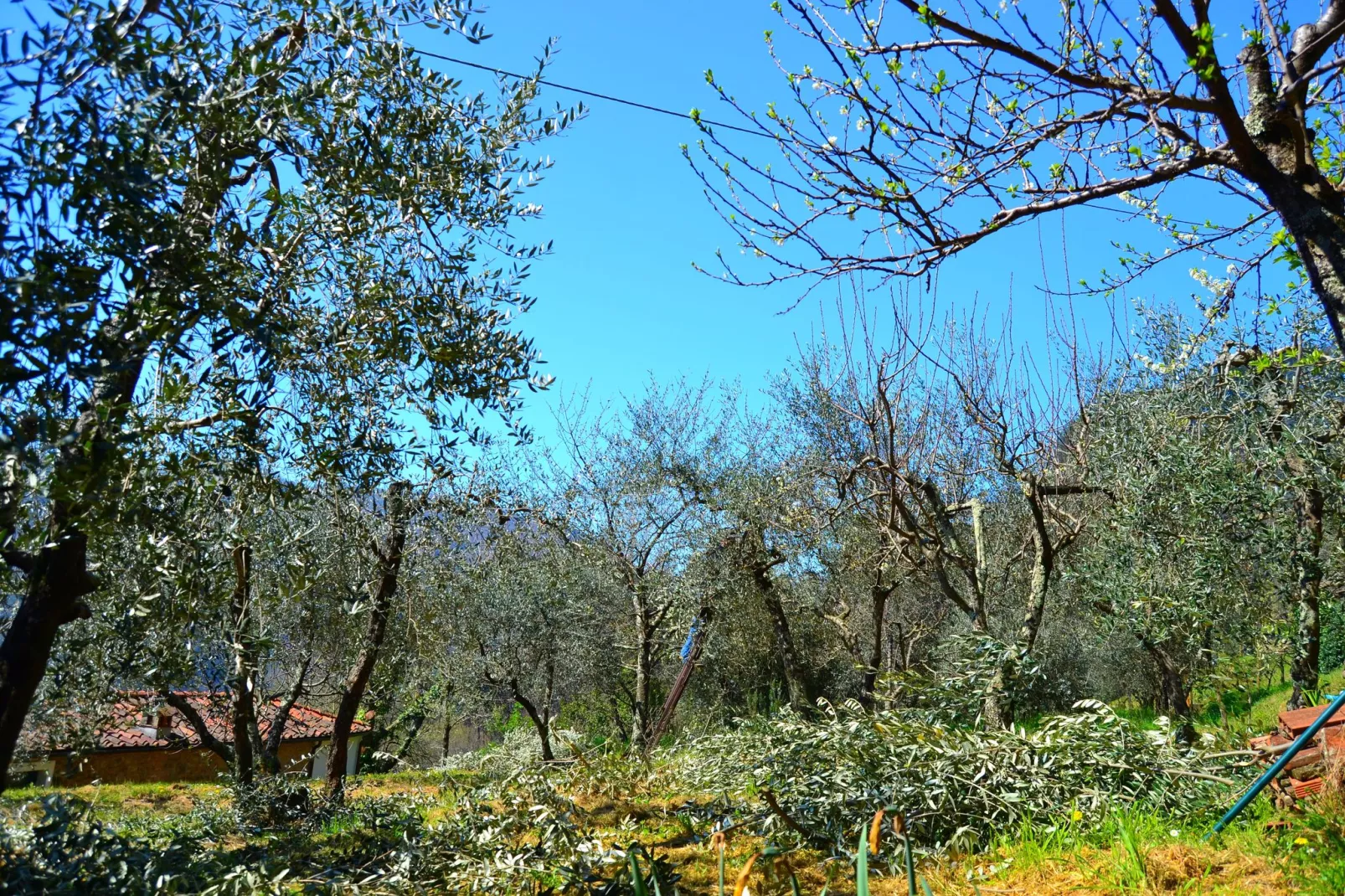 Brama Sole-Areas summer 5km