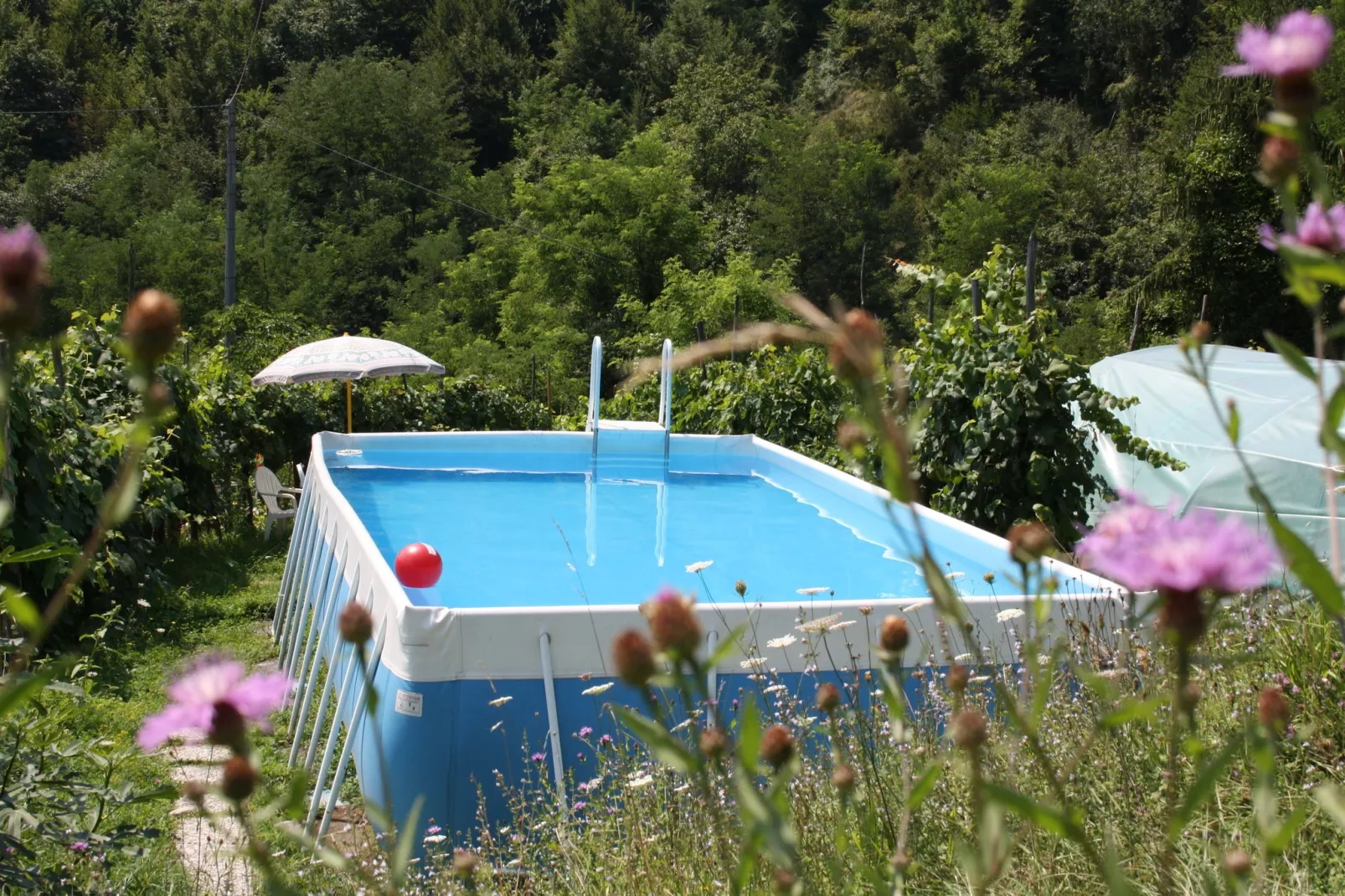 Il Pradaccio-Piscine