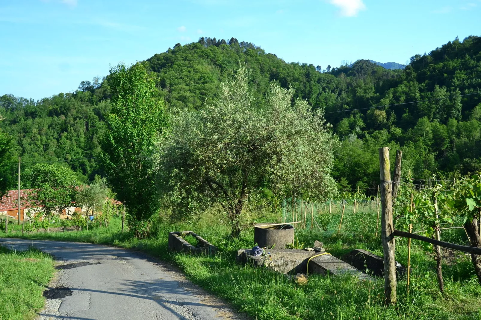 Il Pradaccio-Zones d'été à 1 km