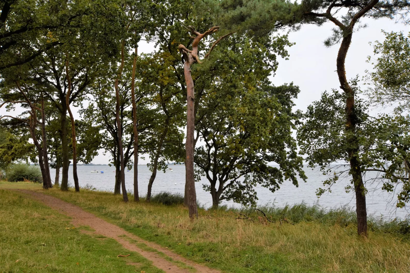 Salzhaff-Finka Pepelow Campingplatz für Surfer-Gärten Sommer