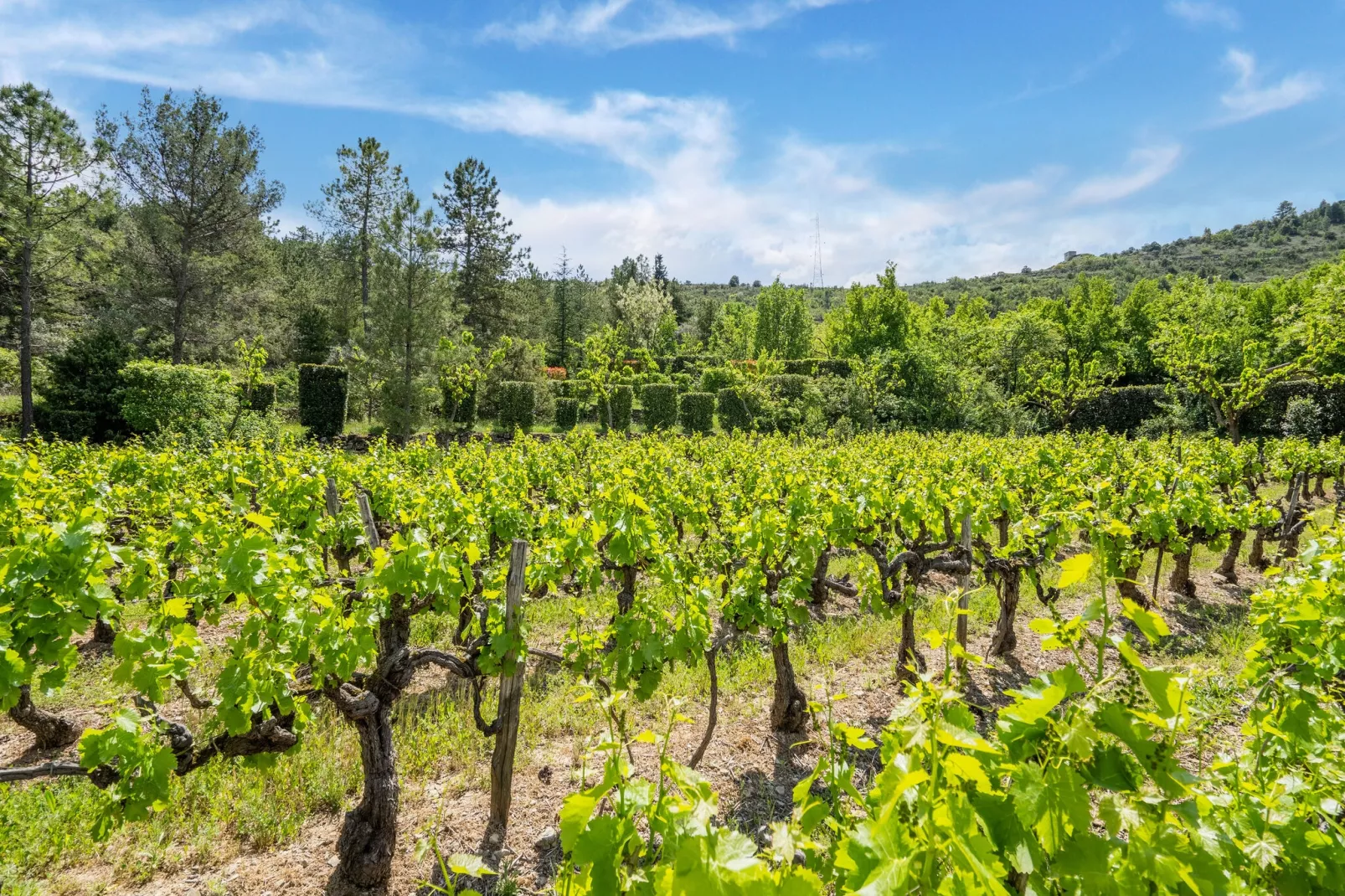 Maison de vacances - Les Vans-Areas summer 5km