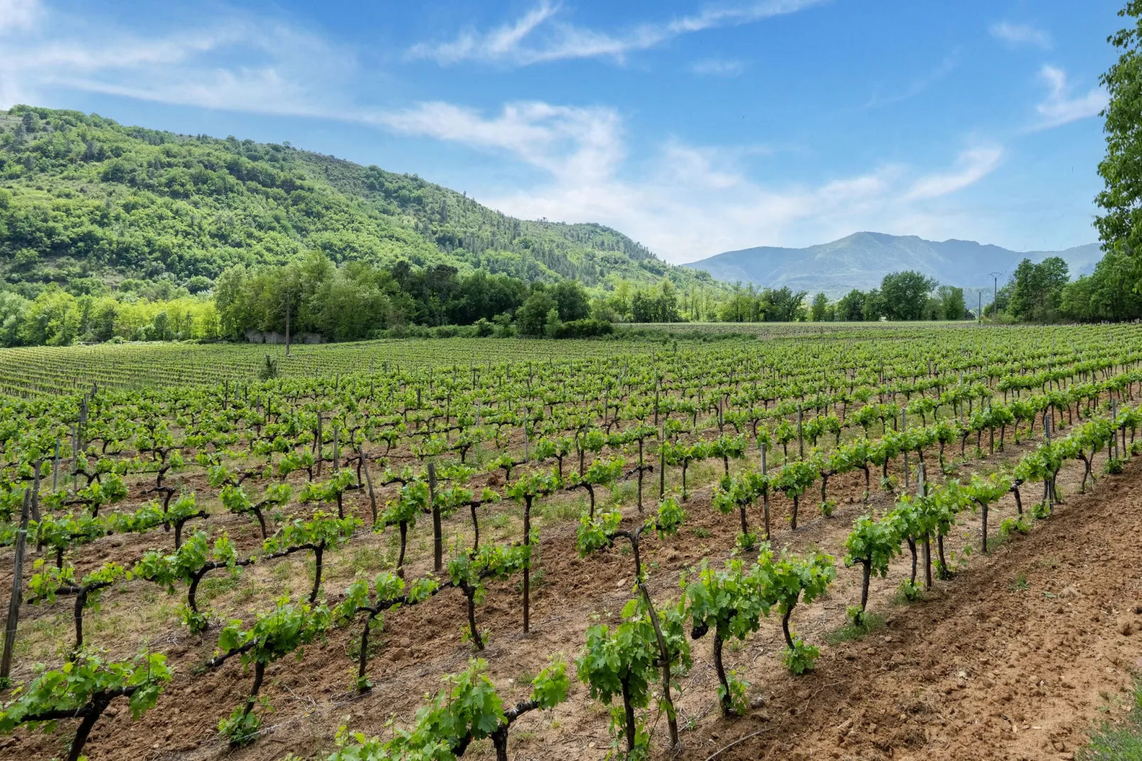 Maison de vacances - Les Vans-Areas summer 5km