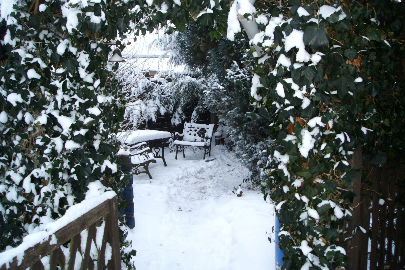 Urlaub Nähe Bad Doberan-Garden winter