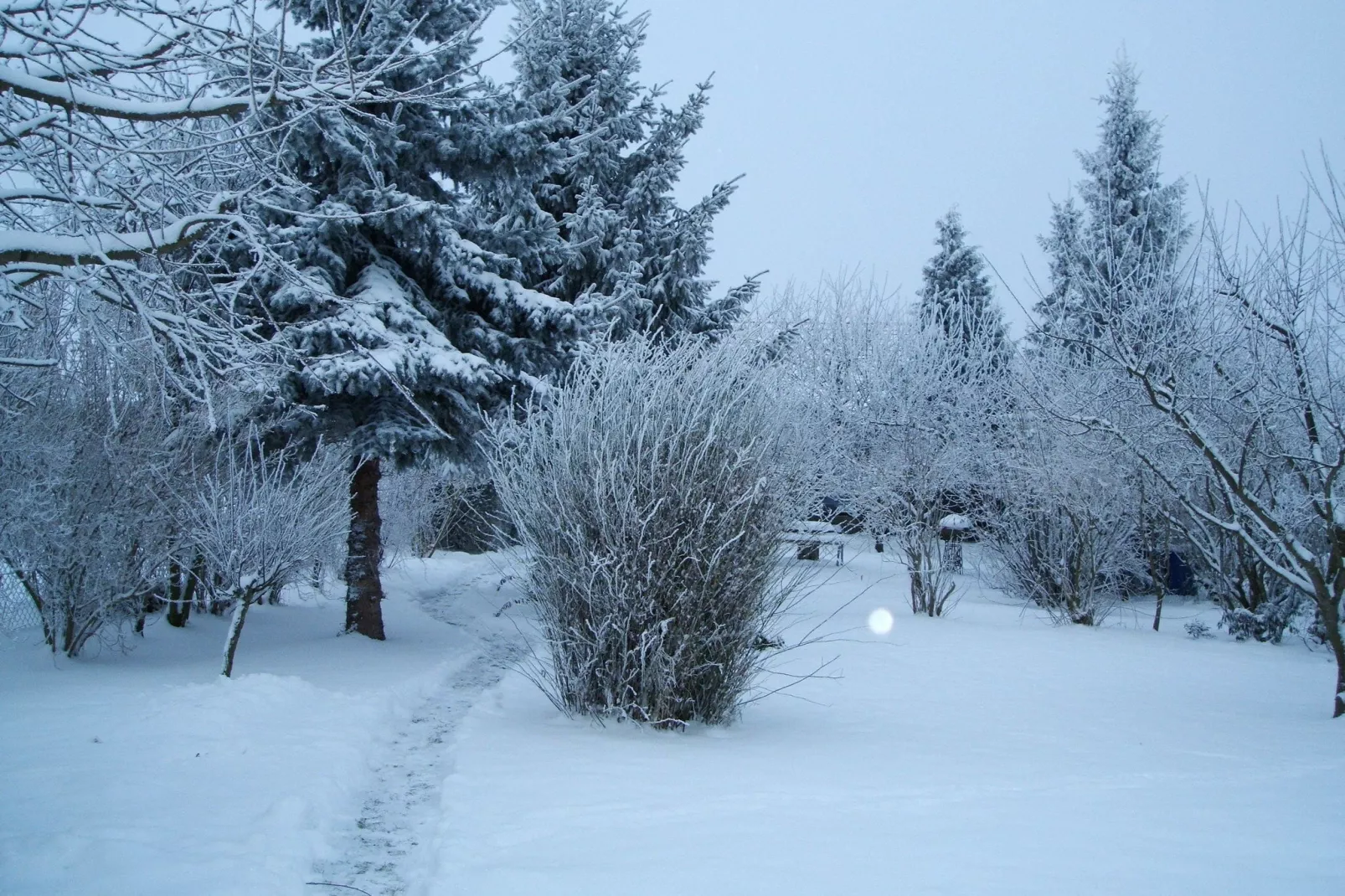 Urlaub Nähe Bad Doberan-View winter