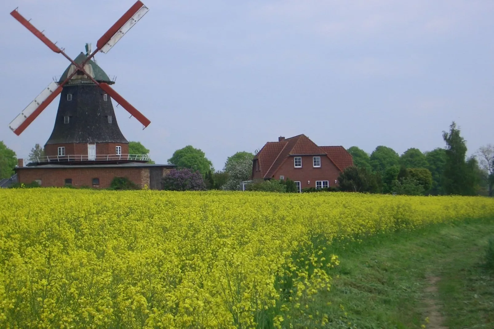 Zur Windmühle-Exterior summer