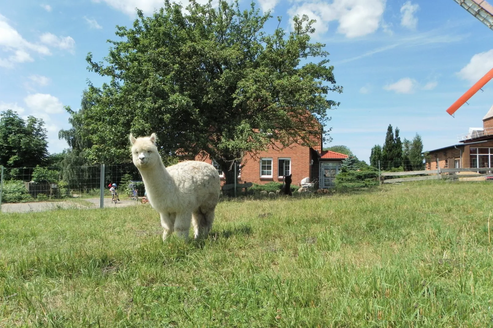 Zur Windmühle-View summer
