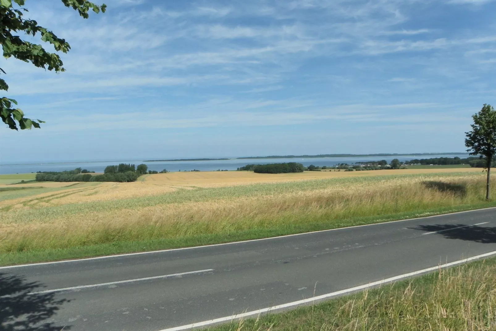 Zur Windmühle-Areas summer 5km