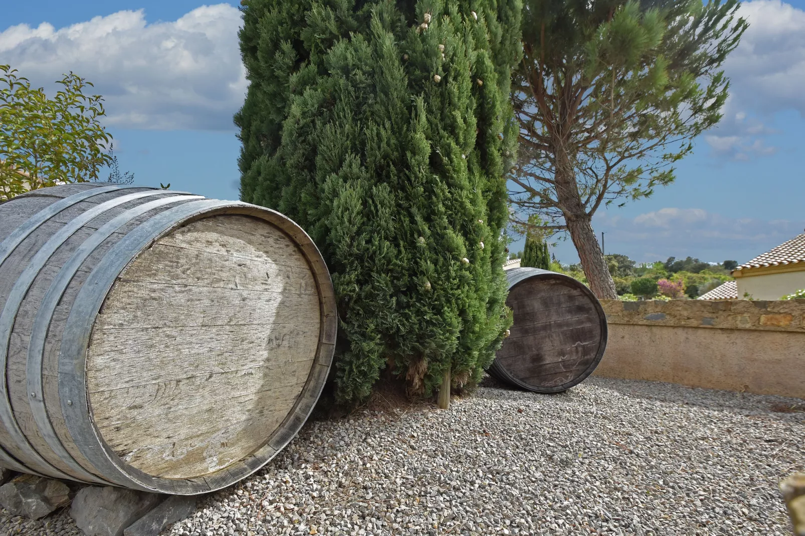 Villa Le Cabernet-Gardens summer