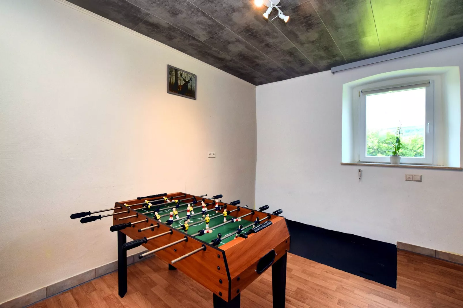 De Massetop-Recreation room